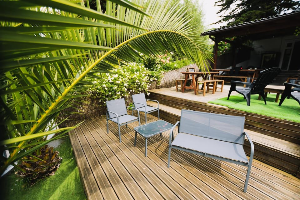 Spring, Garden, Seating area, Garden view