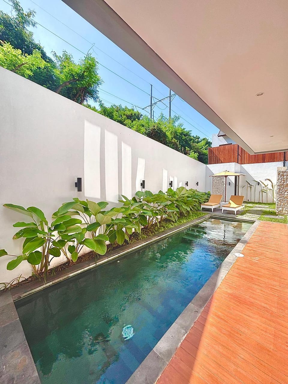 Day, Garden, Garden view, Pool view, Swimming pool, sunbed