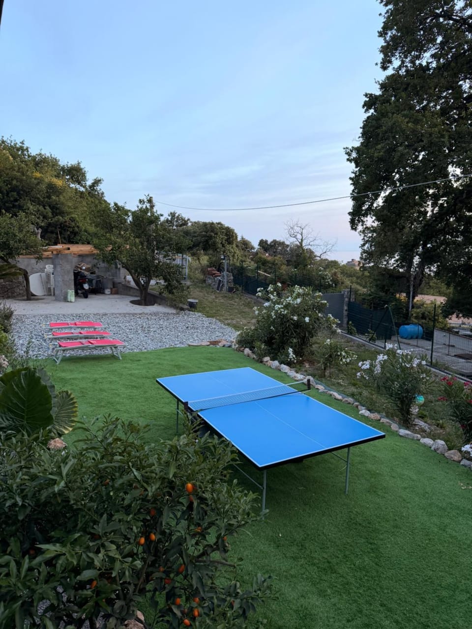 villa Cycas Villa in Maratea