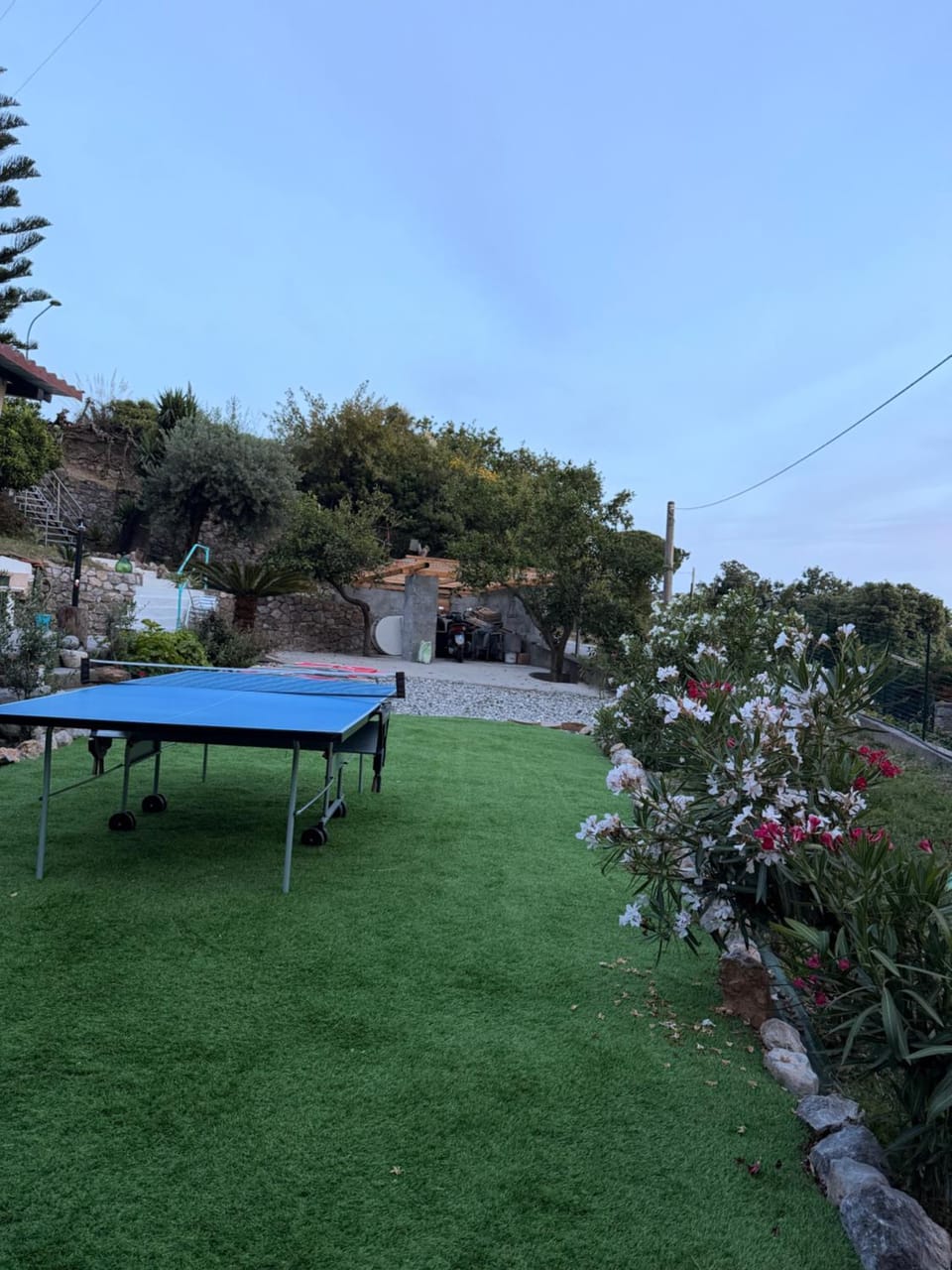 villa Cycas Villa in Maratea