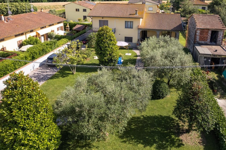 Bird's eye view, Garden, Garden, Garden view