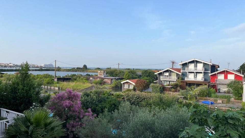 Neighbourhood, Natural landscape, River view