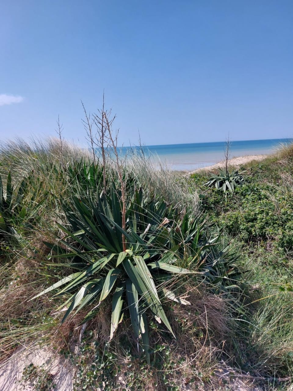 Natural landscape, Beach