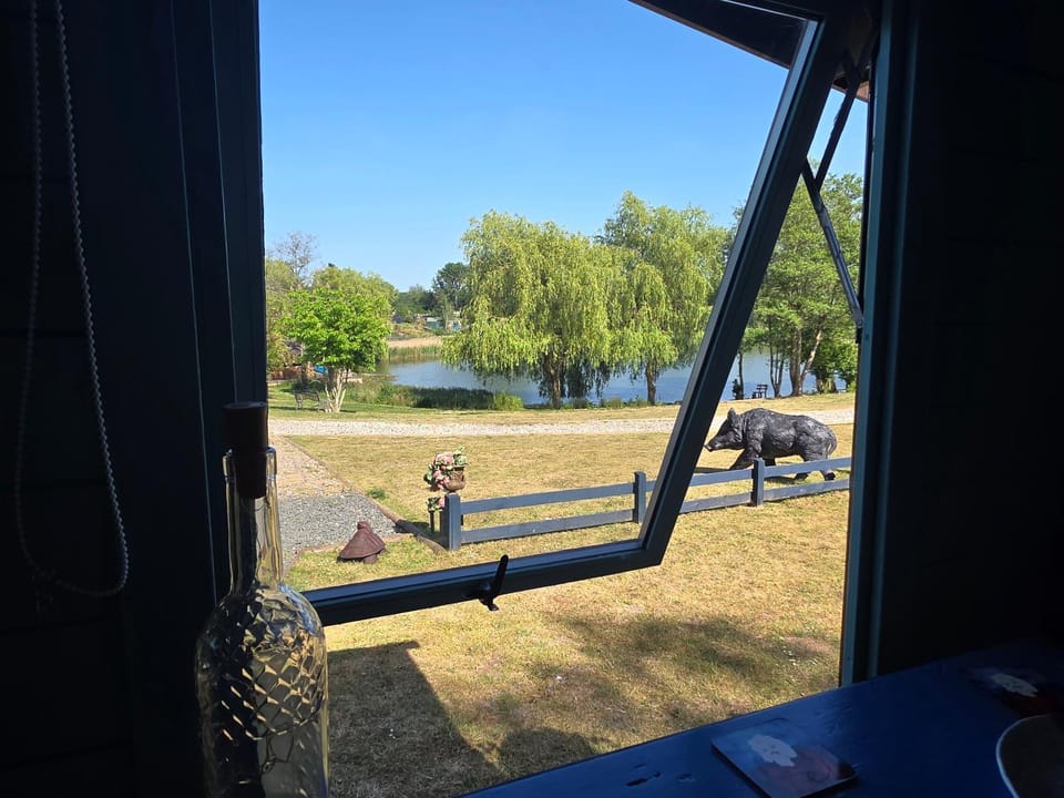 Lake view