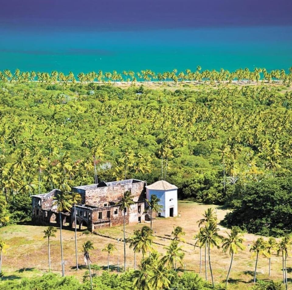 Paraíso Tropical Apartment in Praia do Forte