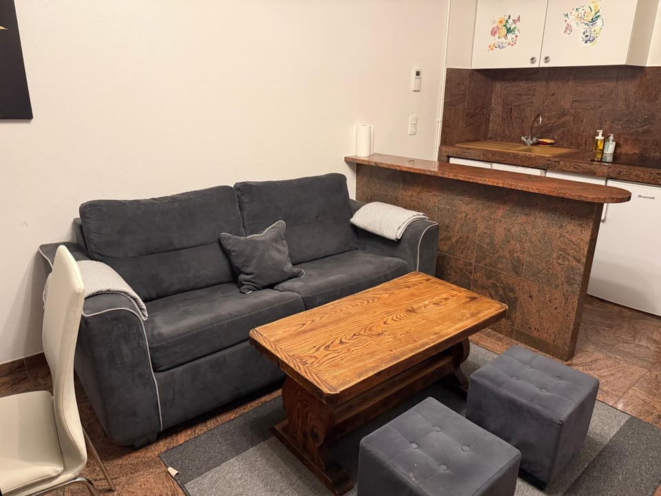 Le Magnifique 3 personnes Drancy Apartment in Drancy