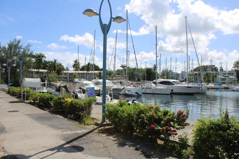 L'Orchidée Bleue Apartment in Les Trois-Îlets