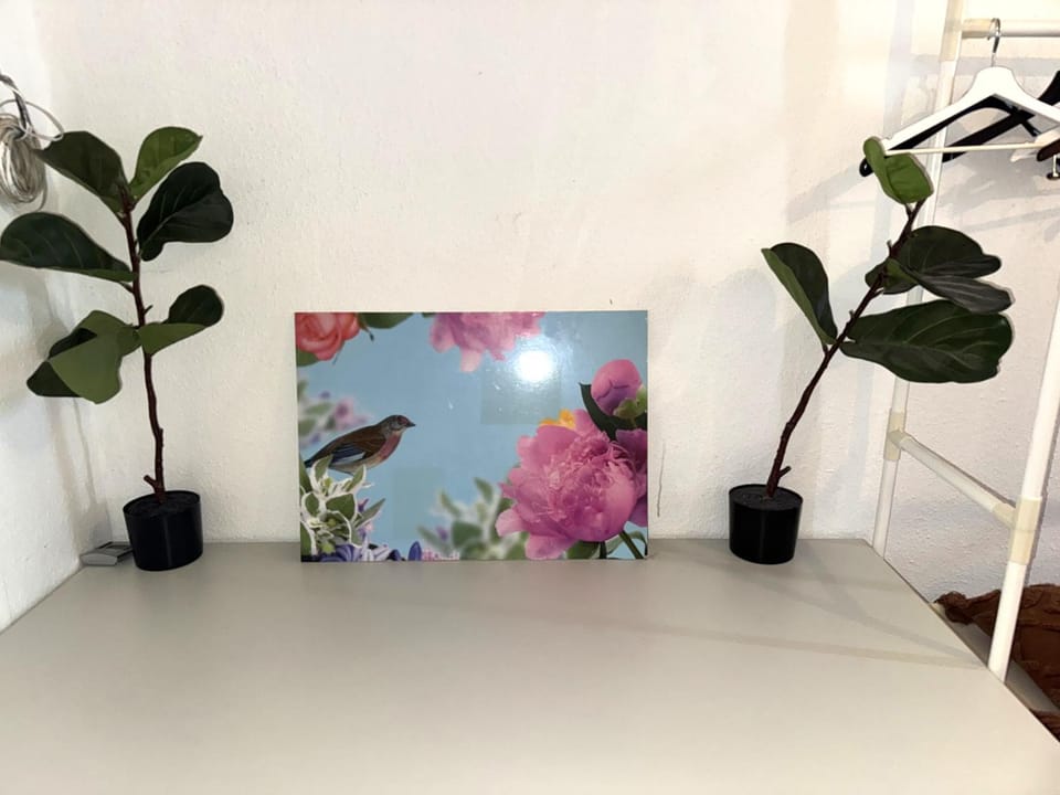 Urban Nest Prime 3BR with Spacious Hall & Kitchen apartment Apartment in Rhineland-Palatinate