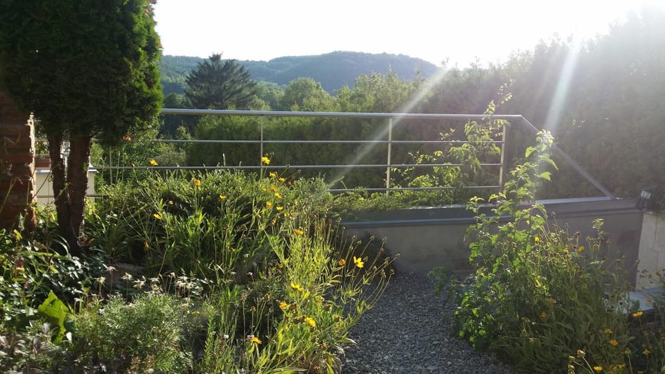 Garden view, Mountain view