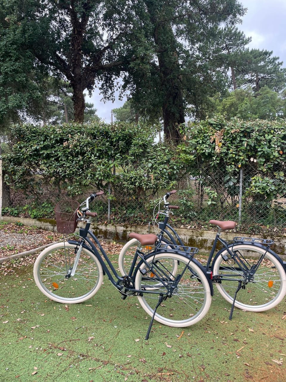 Cycling