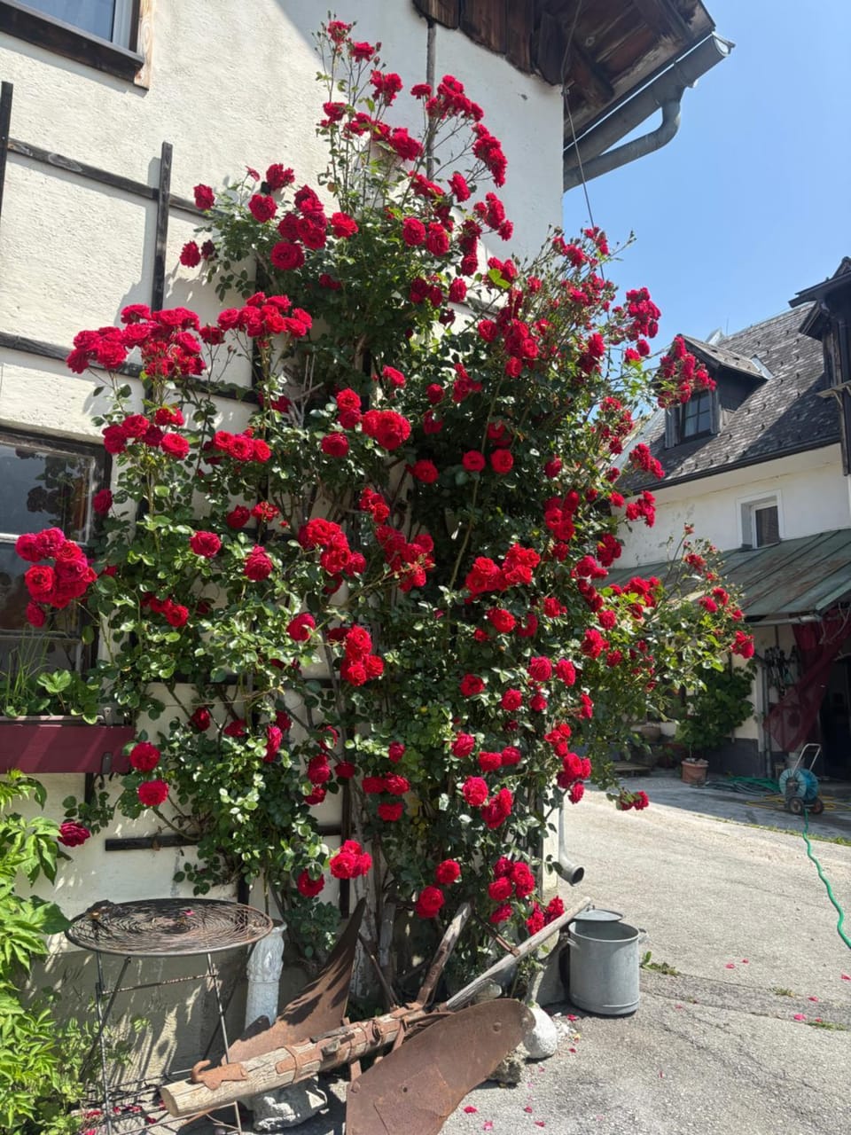 Wengerwirt zur Laube rustical "Blue" Bed and Breakfast in Upper Austria