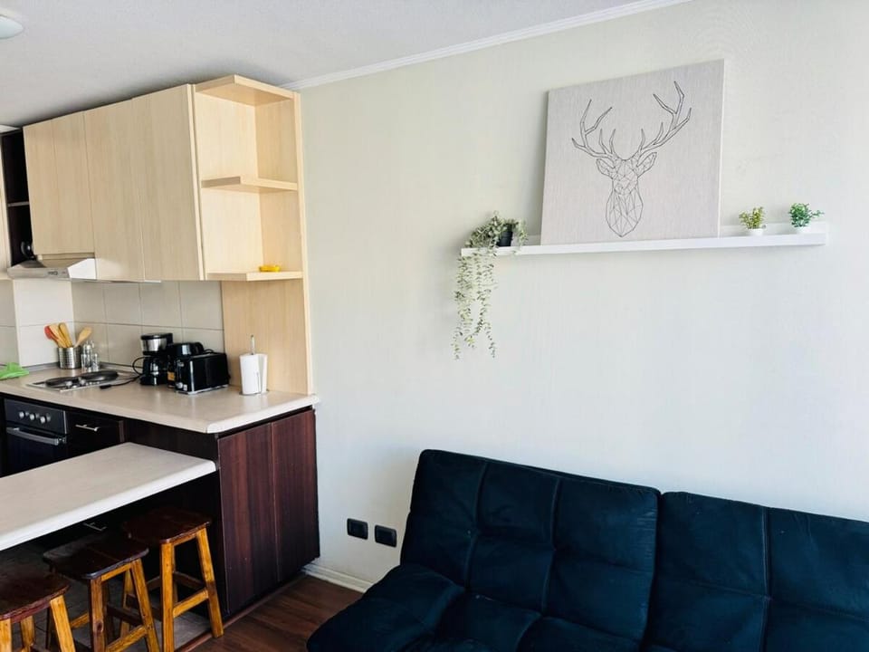 Vicuña Mackenna - Metro Rodrigo de Araya Apartment in Santiago