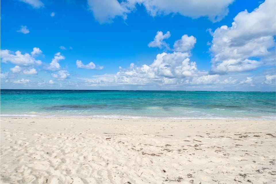 Sandbox Studio at Love Beach- Beachfront! Apartment in Nassau