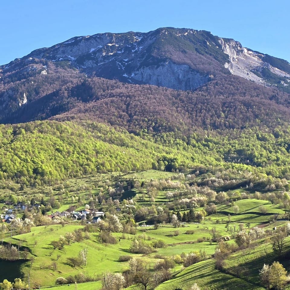 Natural landscape