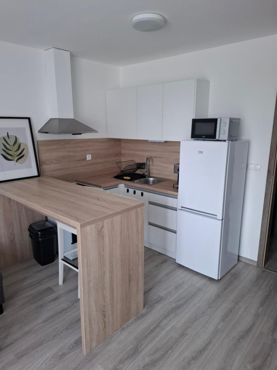 Kitchen or kitchenette, oven, stove