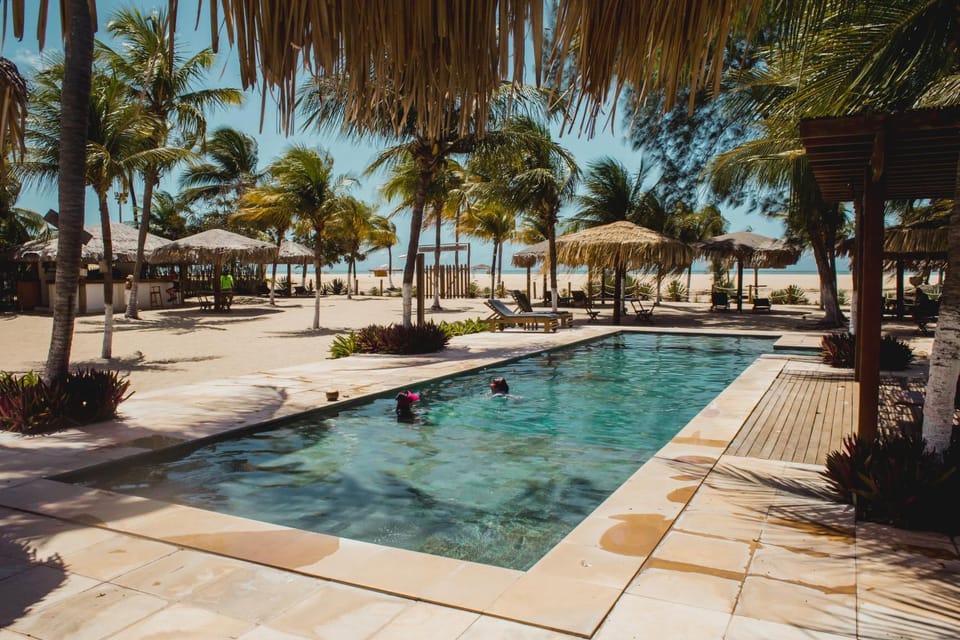 Swimming pool, Swimming pool
