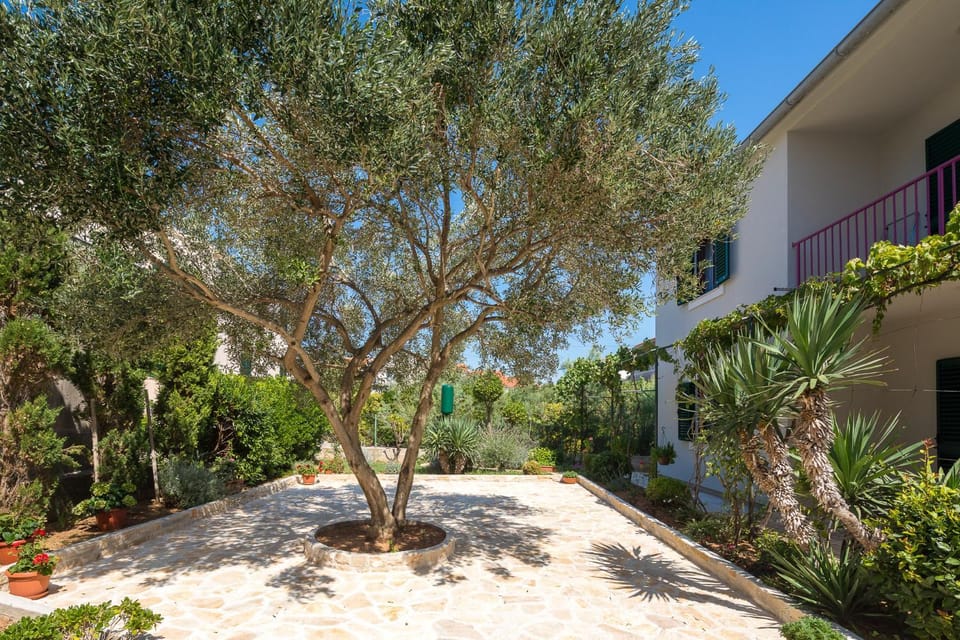 Patio, Garden, Balcony/Terrace