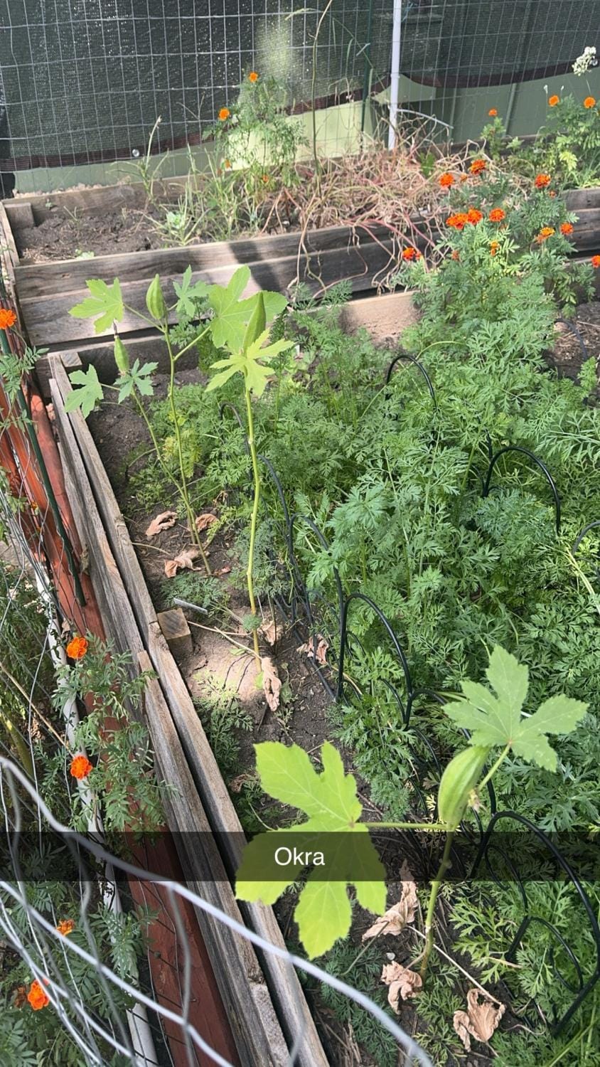 Garden, Garden view