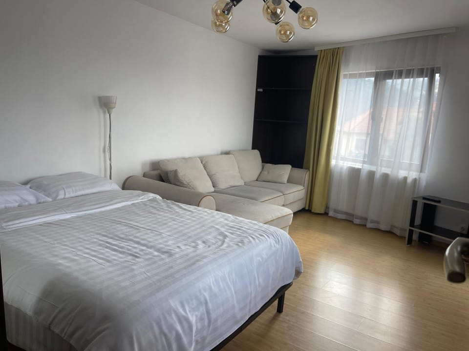 Bed, Living room, Photo of the whole room, Seating area, Bedroom