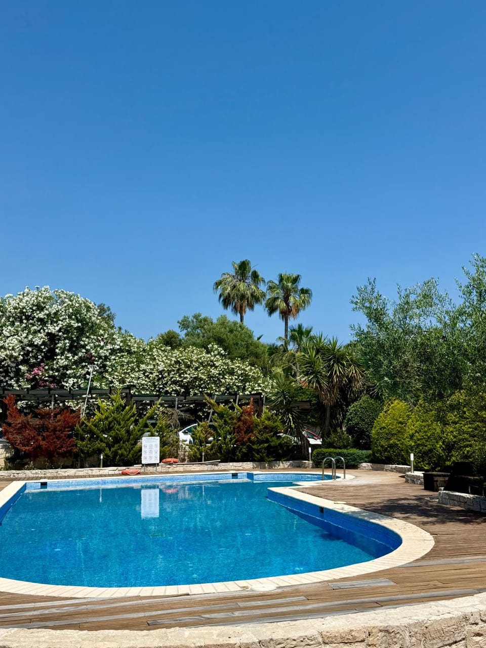 Garden, Swimming pool