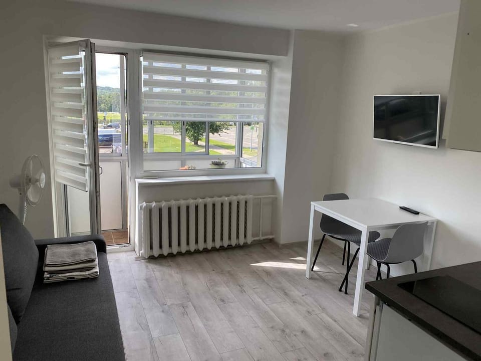 Vilnius Apartment with Balcony Apartment in Vilnius