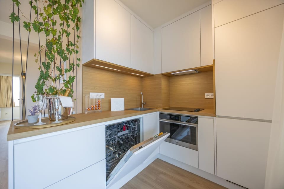 Kitchen or kitchenette, dishwasher, oven, stove