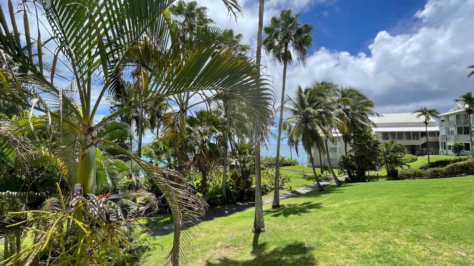 Day, Natural landscape, Garden, Garden view, Sea view