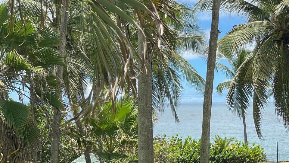 Day, Natural landscape, Beach, Sea view