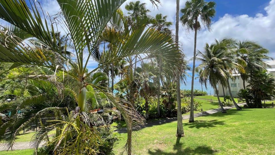 Day, Garden, Garden view