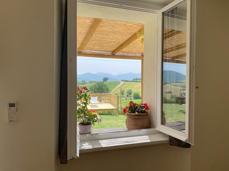 My way House in Marche
