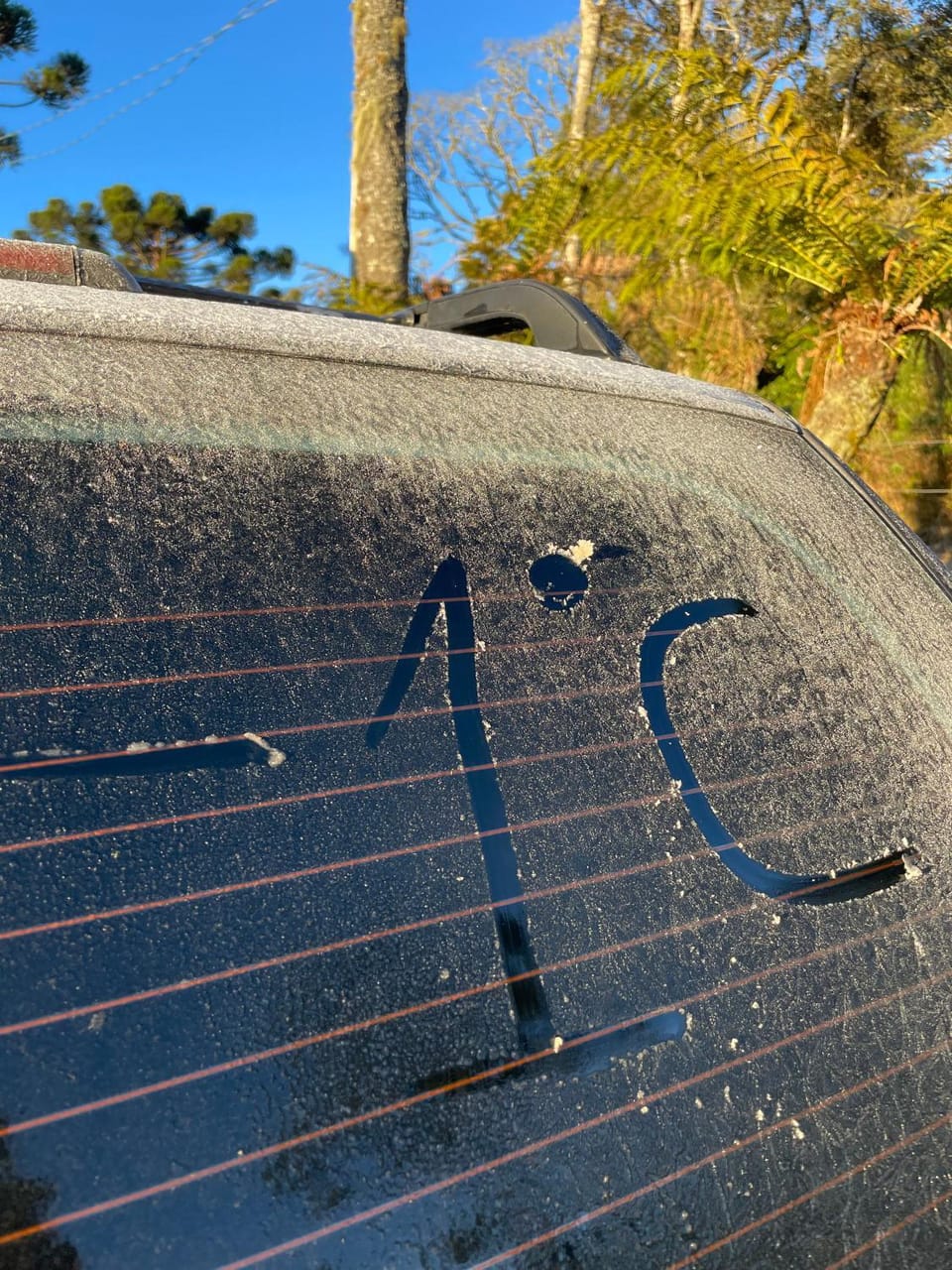 Day, Parking