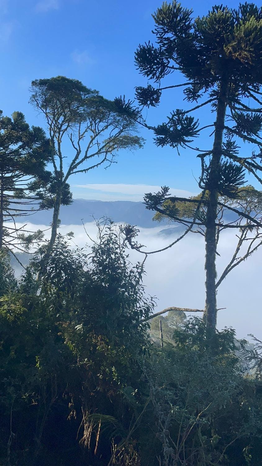 Natural landscape, Mountain view