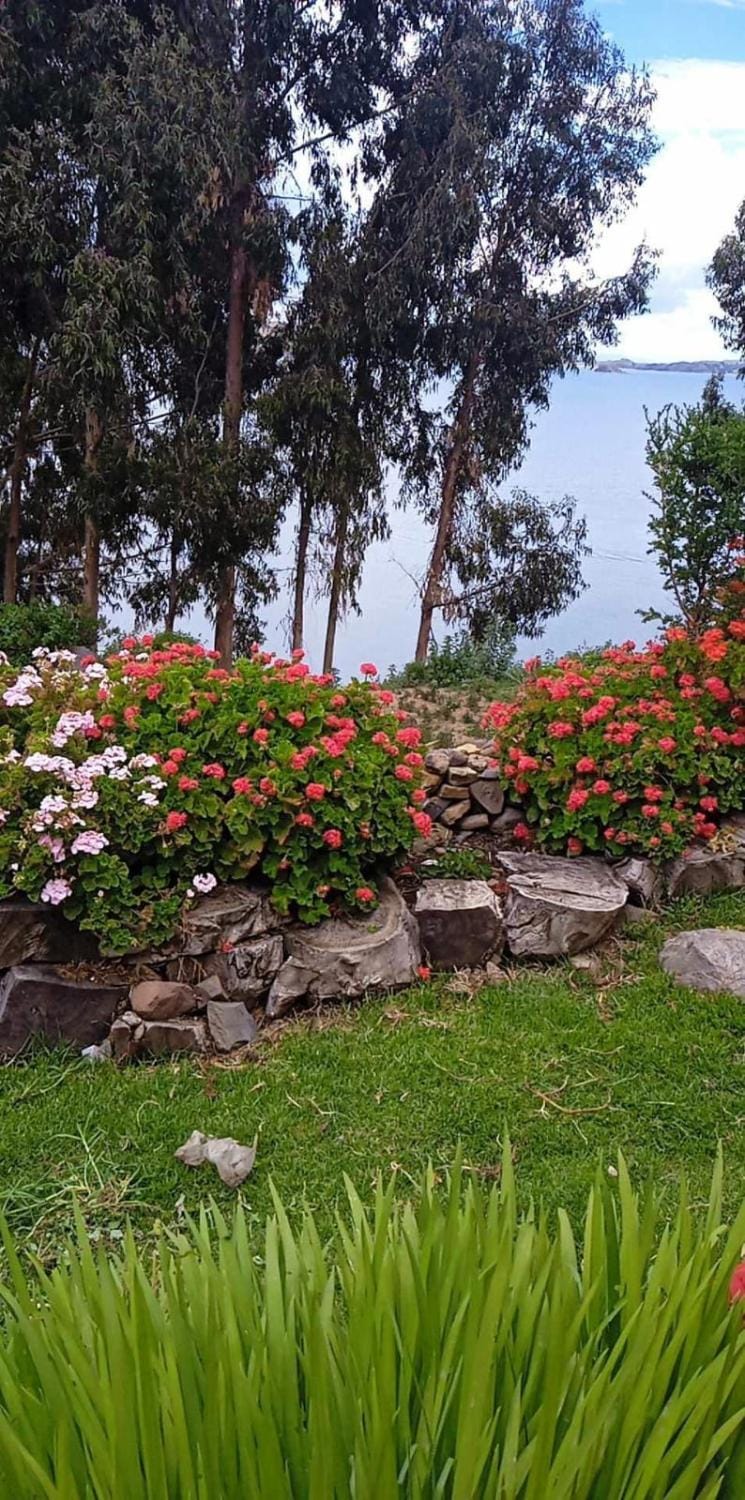 Spring, Natural landscape, Garden, View (from property/room), Lake view