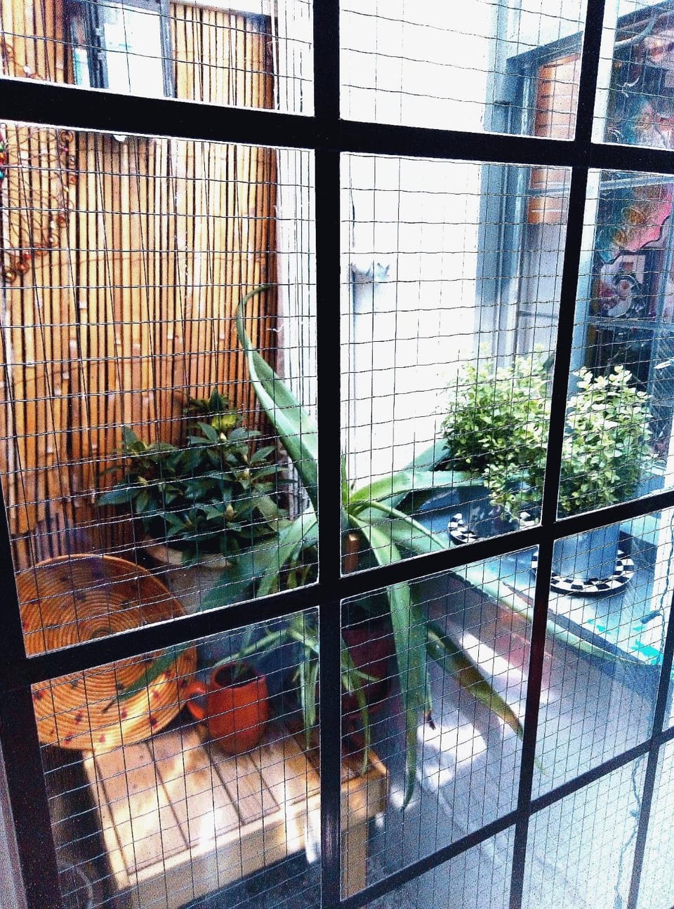 Garden, Garden, Kitchen or kitchenette, Floor plan, Dining area, Garden view, Drinks, Drinks, Inner courtyard view, Parking, internet, kitchen