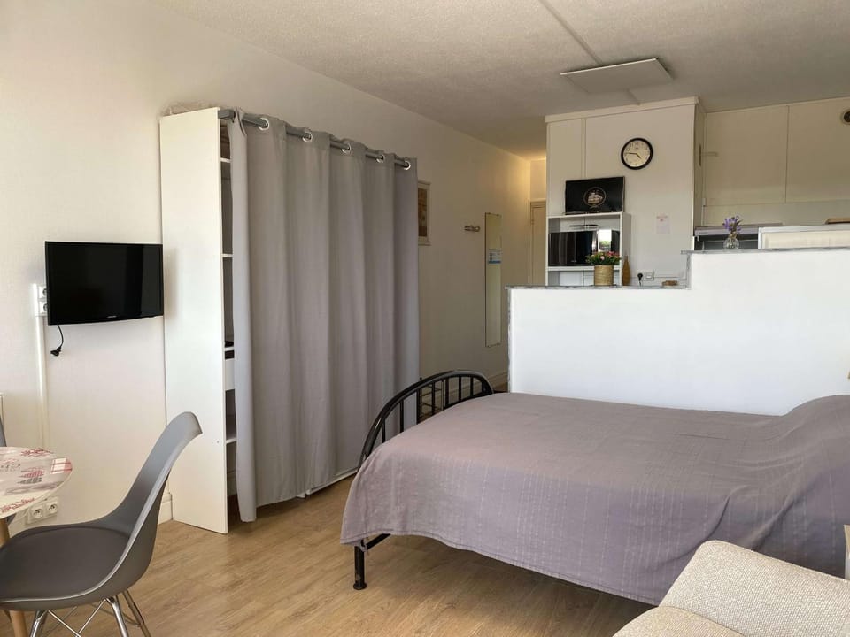 Studio vue parc avec climatisation - FR-1-553-305 Apartment in Balaruc-les-Bains