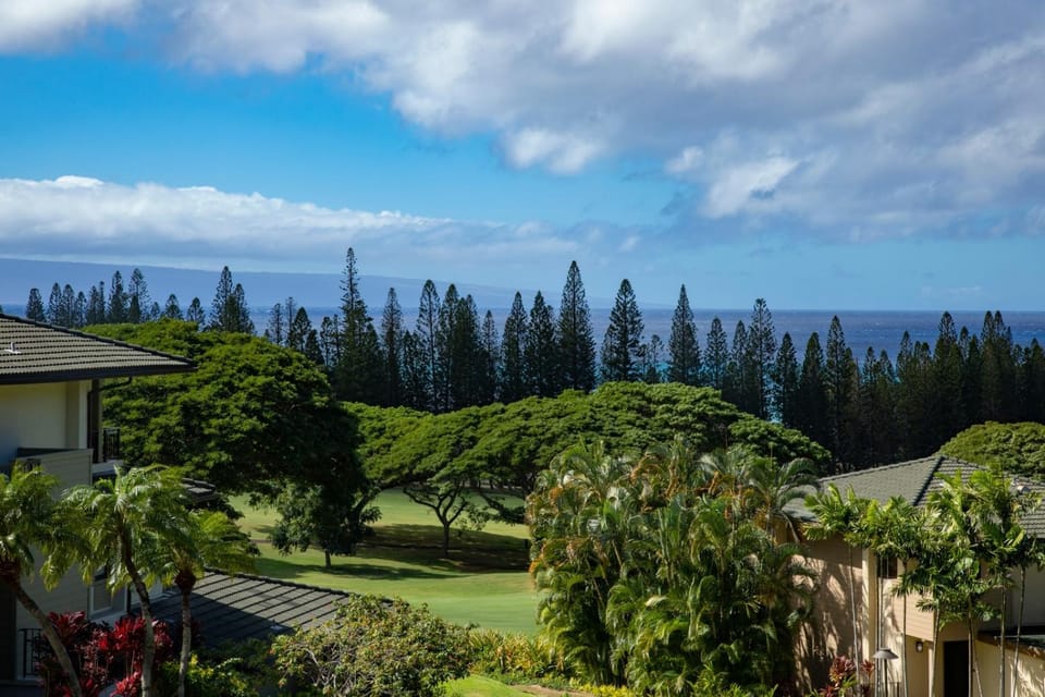 View (from property/room)