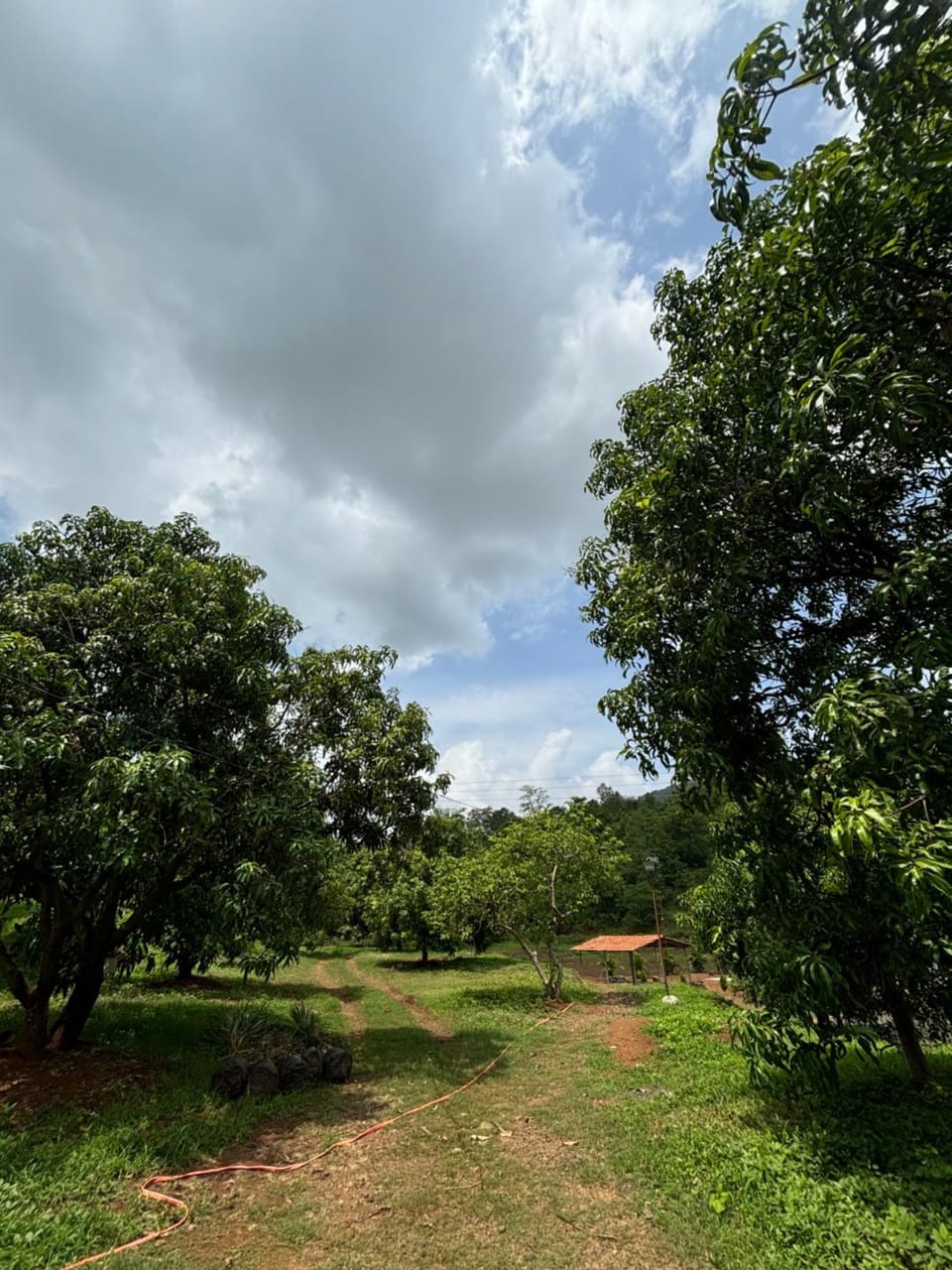 Ak farm house Apartment in Maharashtra
