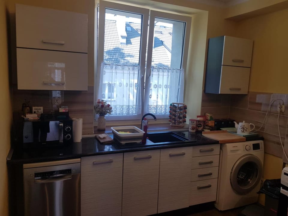 Apartament Stronie Śląskie Wita Apartment in Lower Silesian Voivodeship