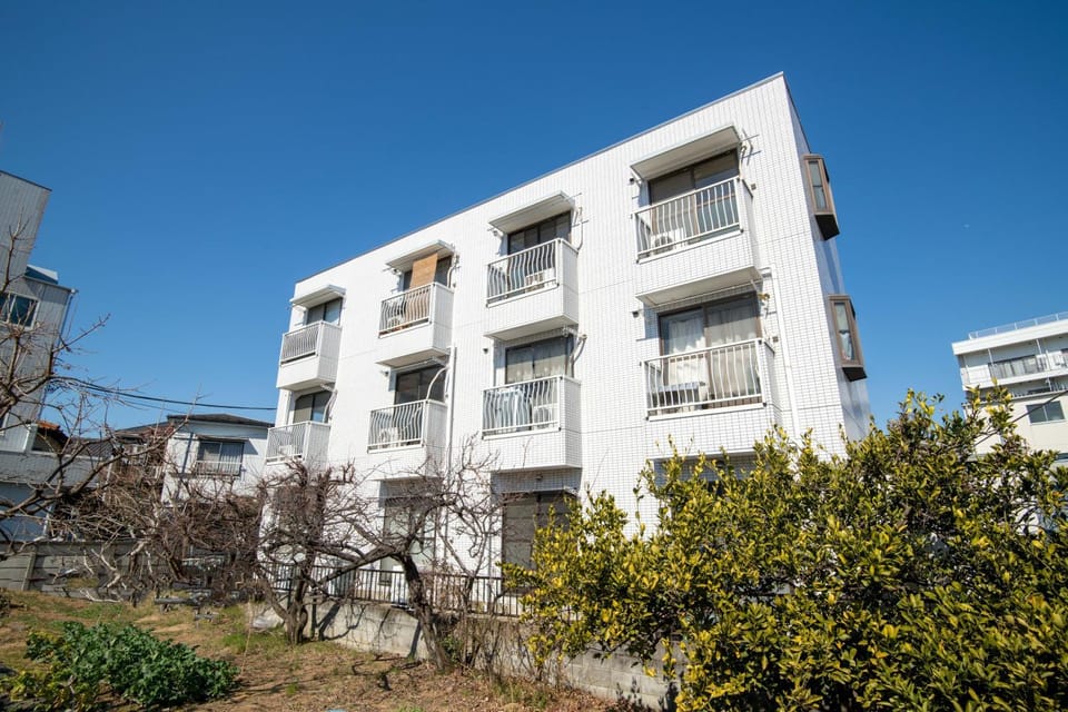 Property building, Day