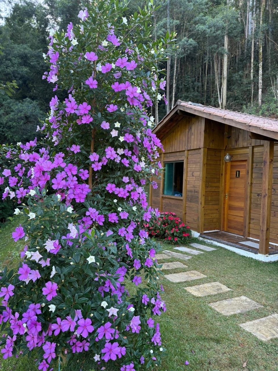 Chales Maravilha Nature lodge in State of Espírito Santo, Brazil