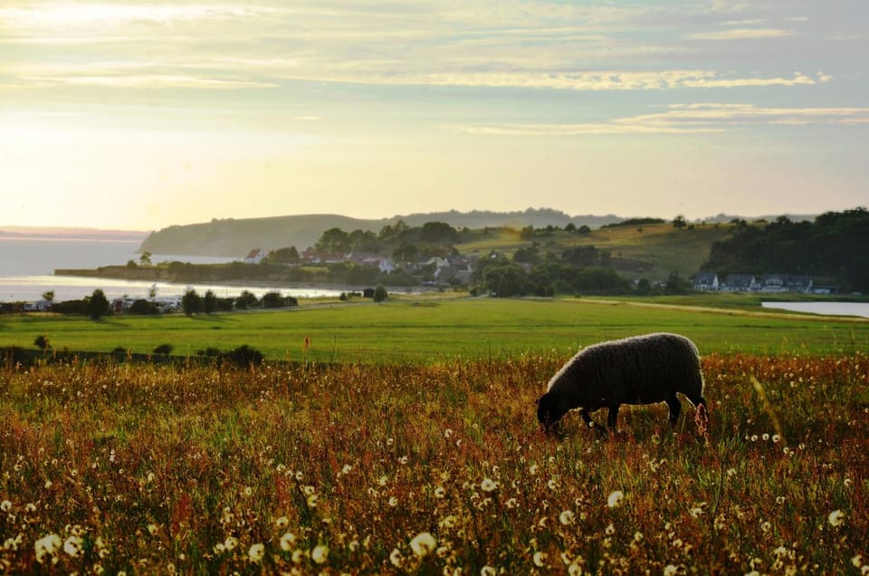 Nearby landmark, Neighbourhood, Natural landscape, Horse-riding, Hiking, Cycling, Pets