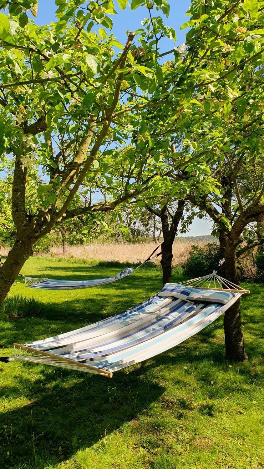 Natural landscape, Garden, Garden, Garden view