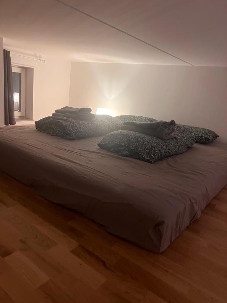 Beautiful Apartment with a Loft House in Skåne County