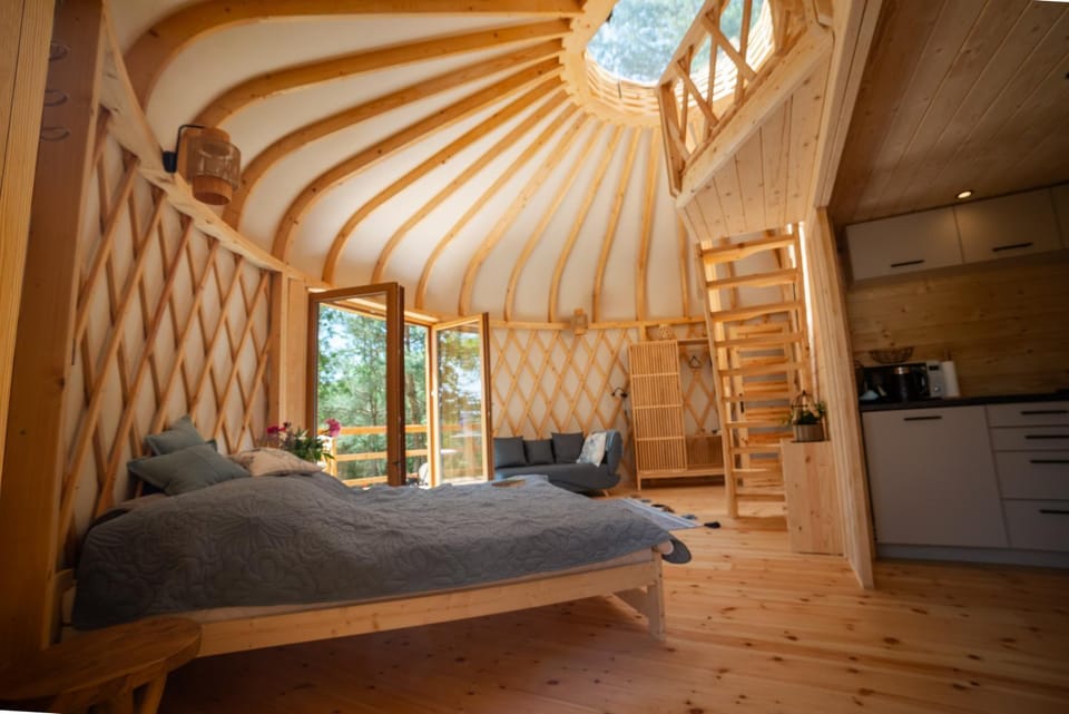 Bed, Kitchen or kitchenette
