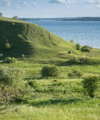 Natural landscape