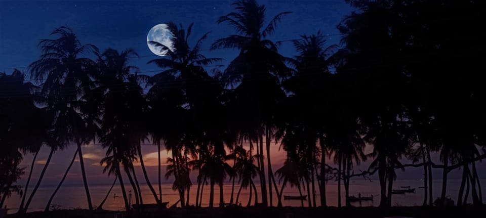 Night, Natural landscape