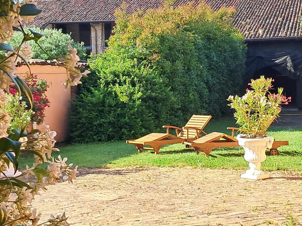 Garden, sunbed