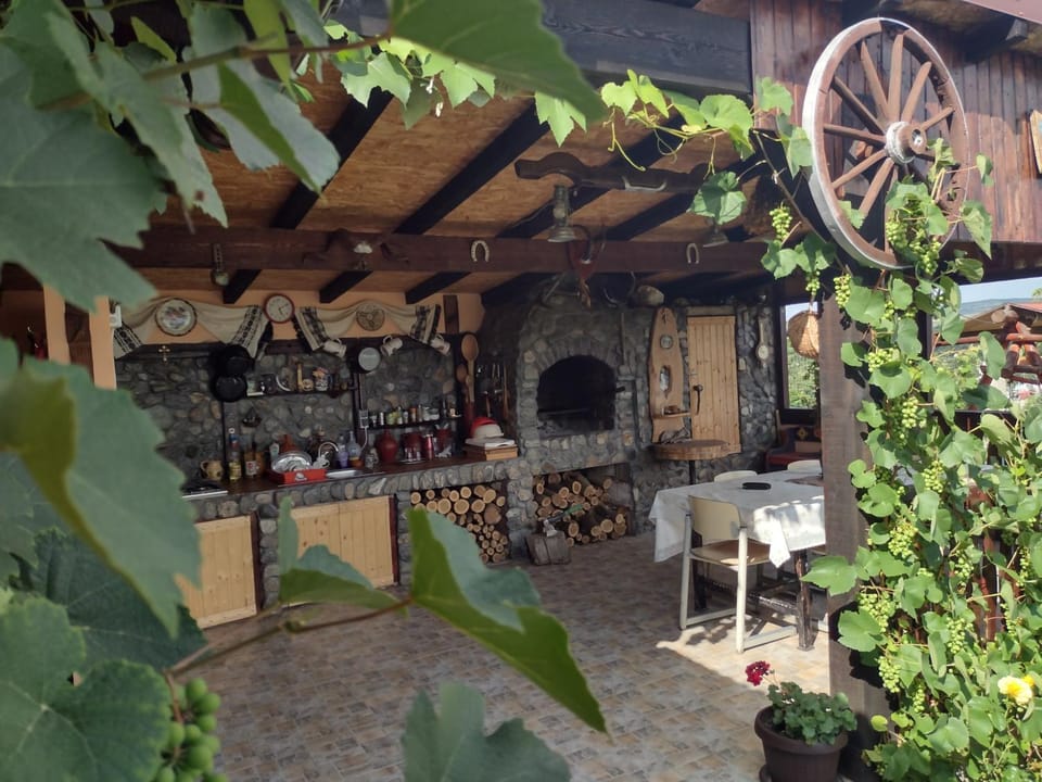 Moșia lu' Mișu Vacation rental in Romania