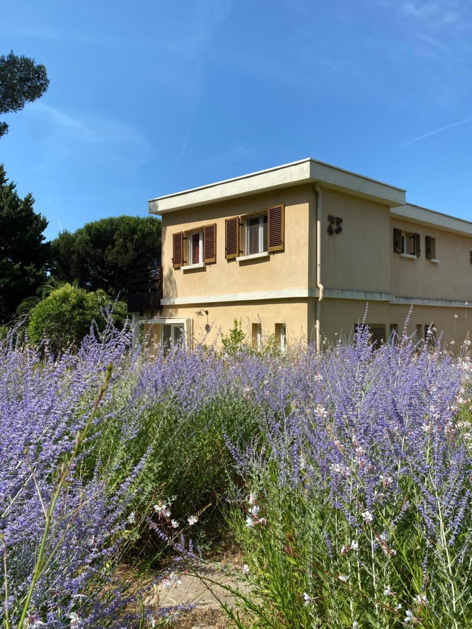 Garden, Garden view