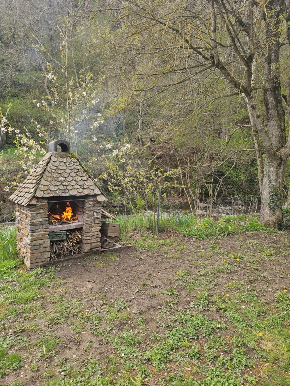 BBQ facilities, BBQ facilities, Garden